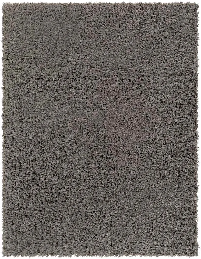 Abraham 2x4 Solid and Border Black Area Rug Carpet for Living Room Bedroom or Kitchen (2'3" x 3'9")