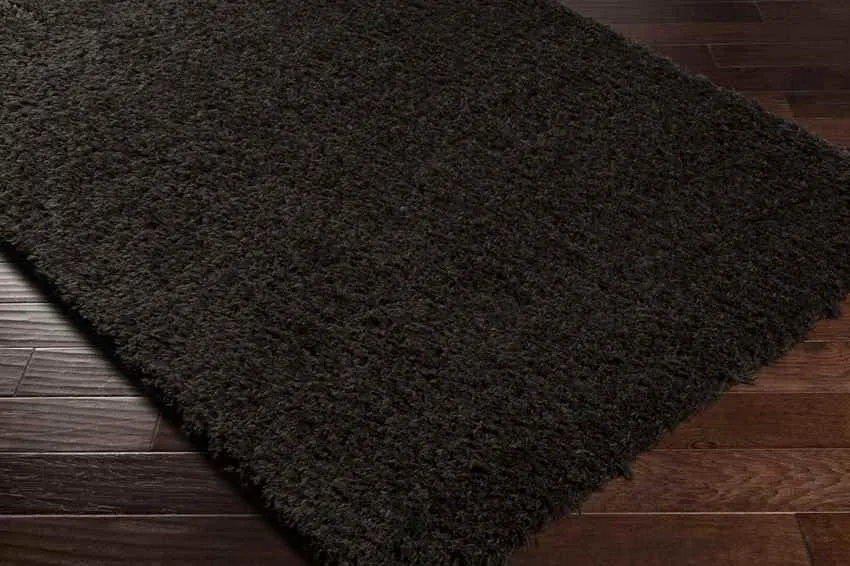 Abraham 2x4 Solid and Border Black Area Rug Carpet for Living Room Bedroom or Kitchen (2'3" x 3'9")