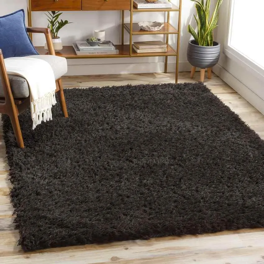 Abraham 2x4 Solid and Border Black Area Rug Carpet for Living Room Bedroom or Kitchen (2'3" x 3'9")