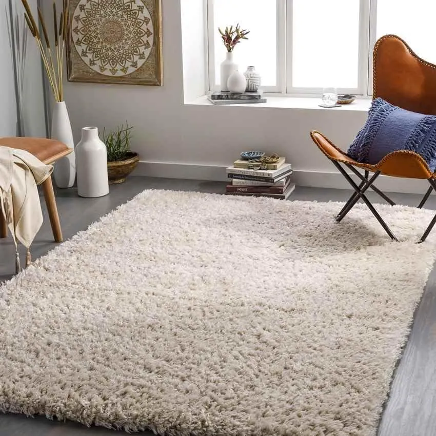 Abraham 2x4 Solid and Border Black Area Rug Carpet for Living Room Bedroom or Kitchen (2'3" x 3'9")