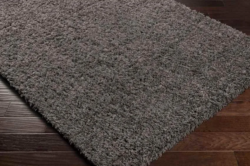 Abraham 2x4 Solid and Border Black Area Rug Carpet for Living Room Bedroom or Kitchen (2'3" x 3'9")