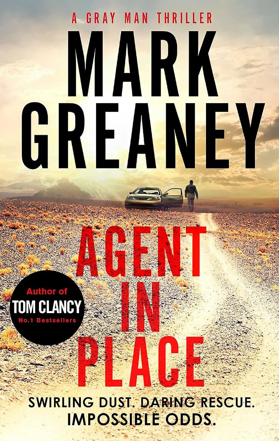 Agent in Place Paperback