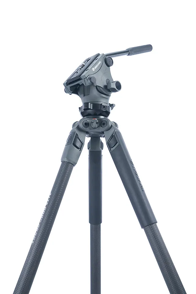 Alta Pro 2V 263CV Carbon Tripod with Lightweight Video Head