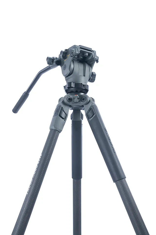 Alta Pro 2V 263CV Carbon Tripod with Lightweight Video Head