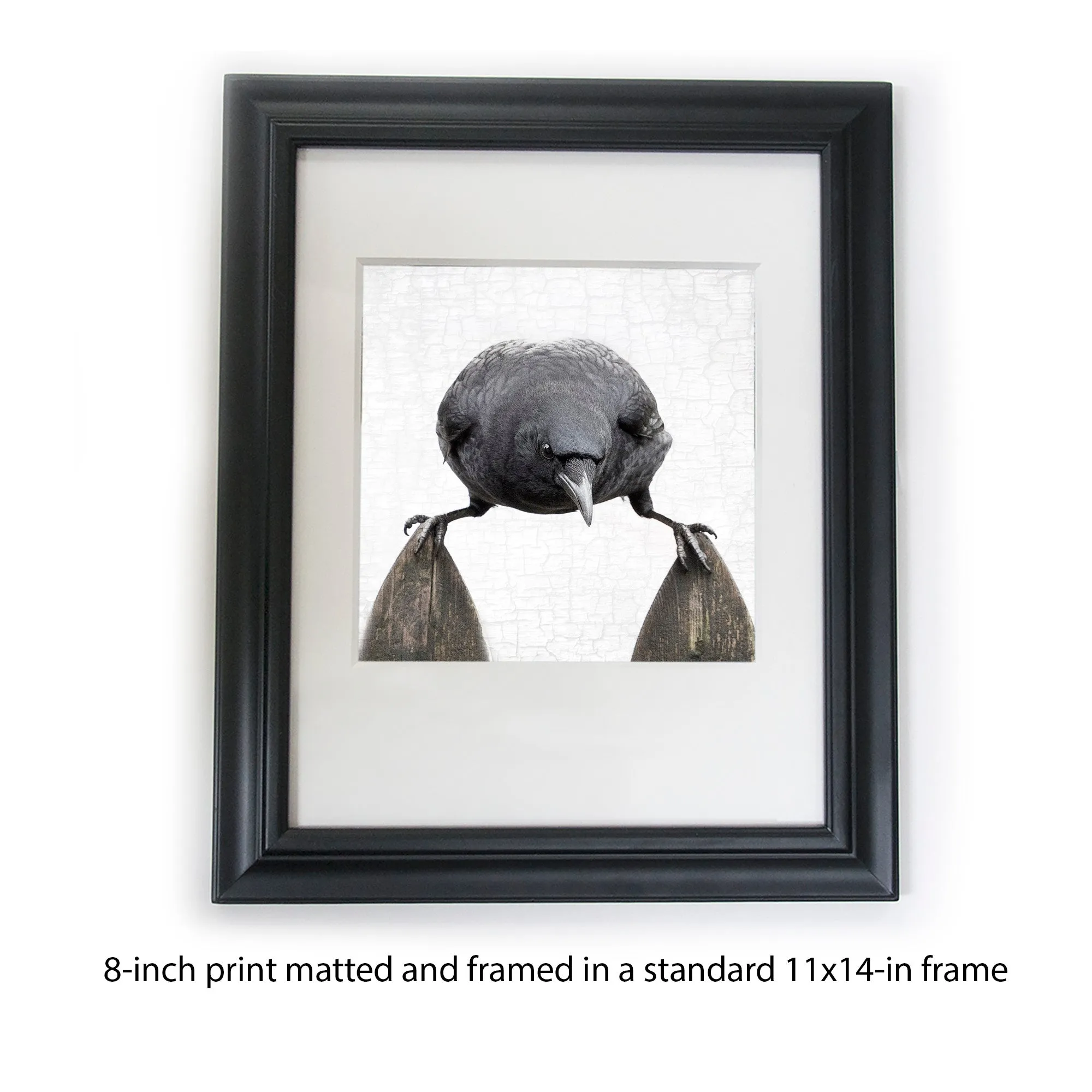 BALANCE - Fine Art Print, Crow Portrait Series