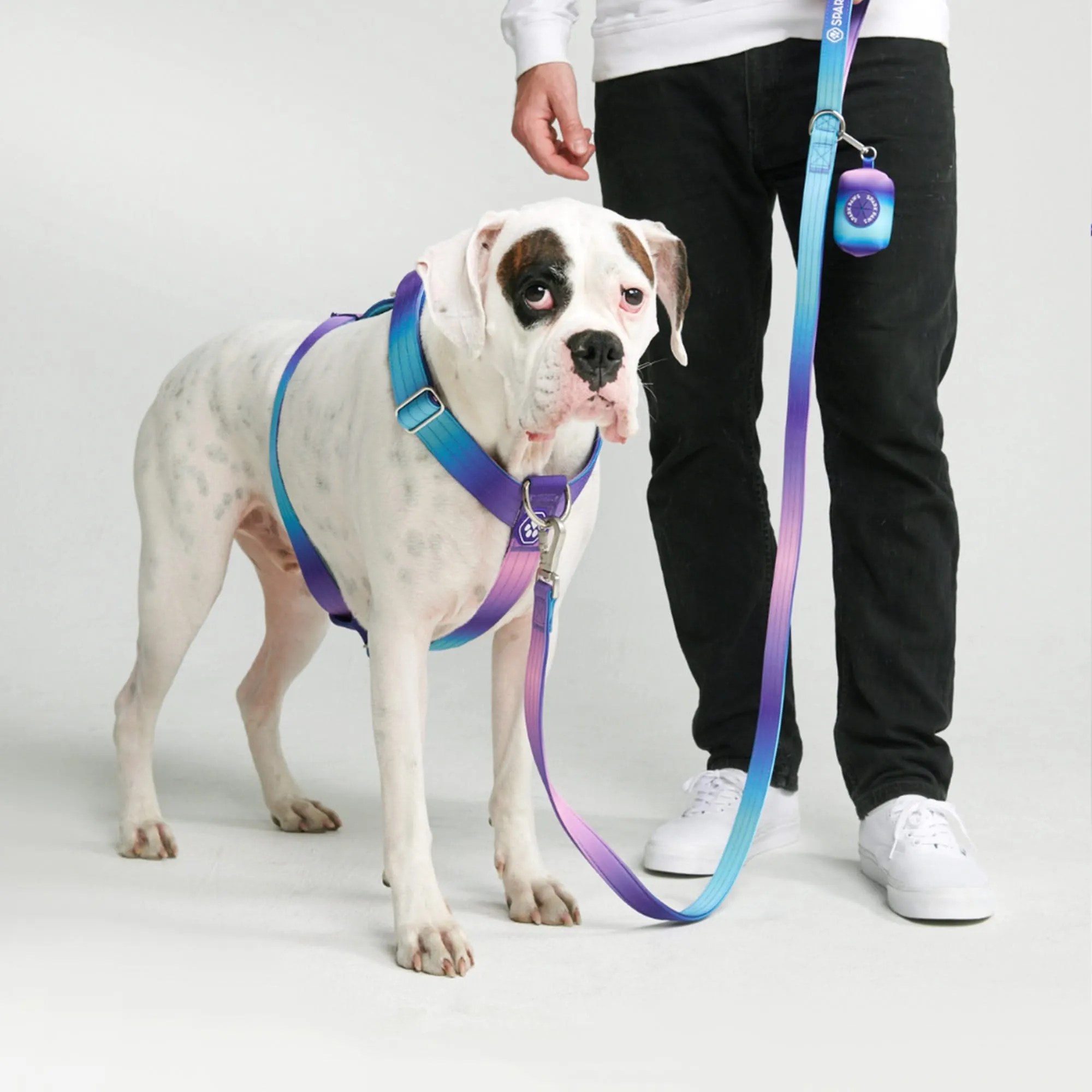 Comfort Control No-Pull Dog Harness - 90s Retro