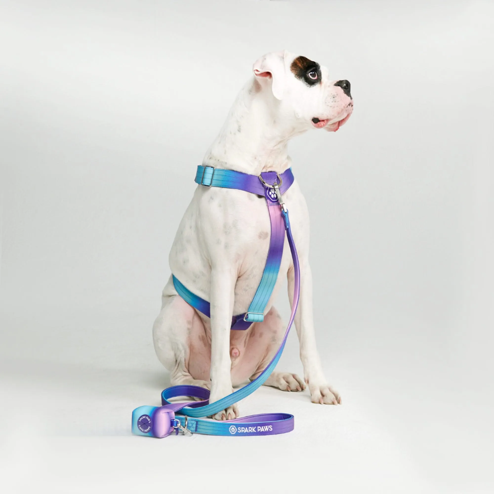 Comfort Control No-Pull Dog Harness - 90s Retro