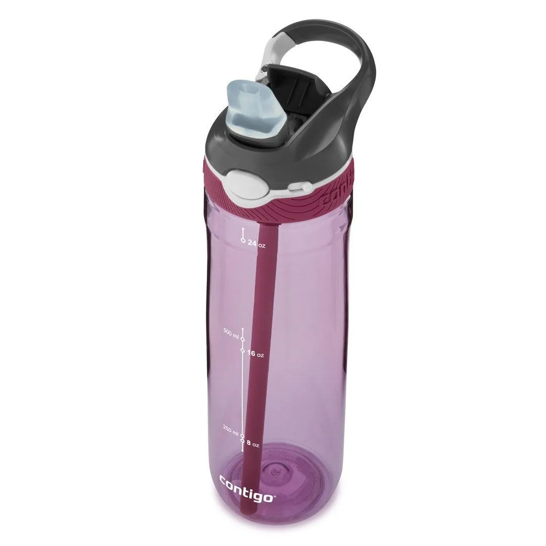 Contigo Ashland Autospout Tritan Suluk 720ml. Mor