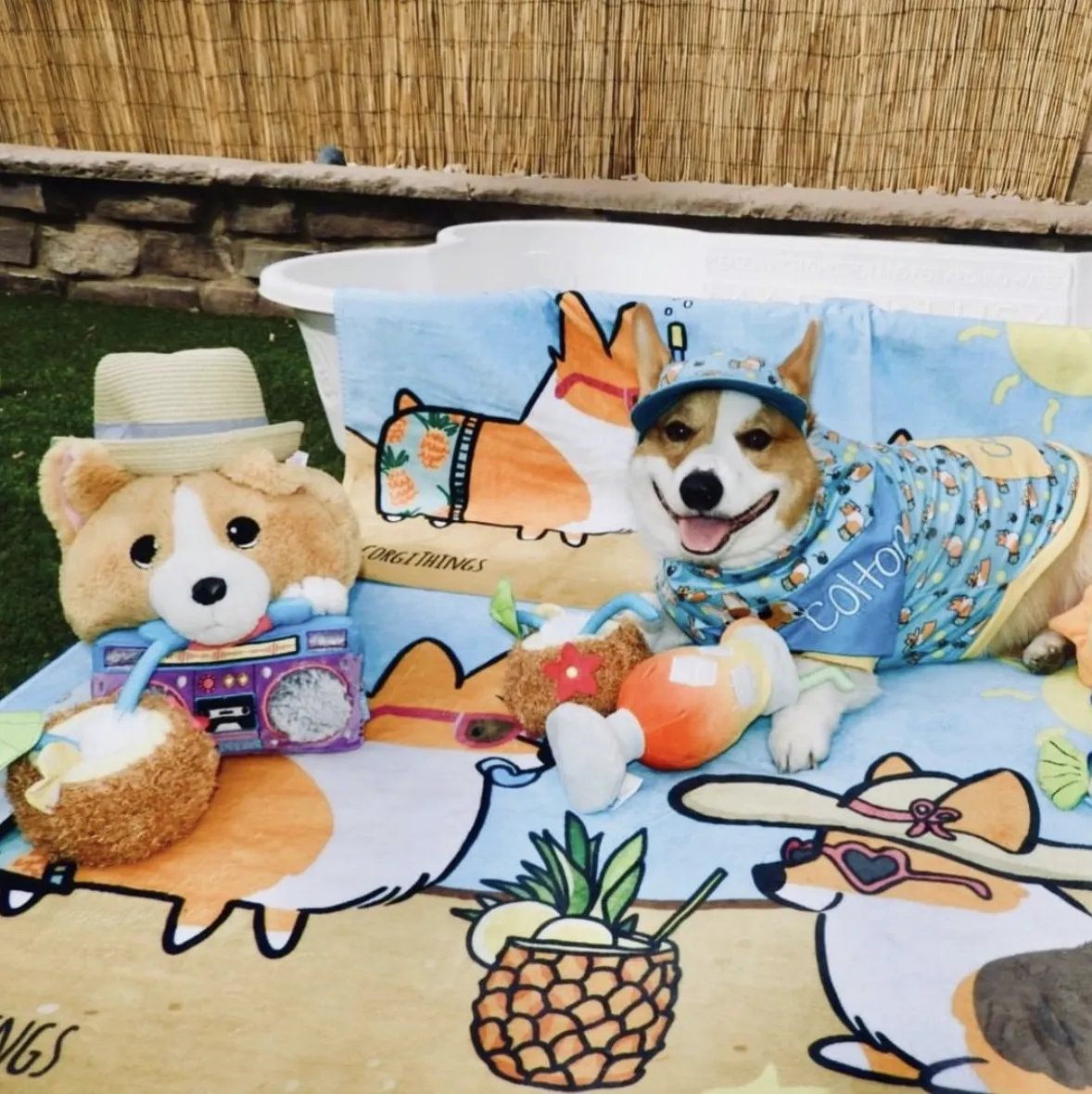 Corgi Beach Party Towel