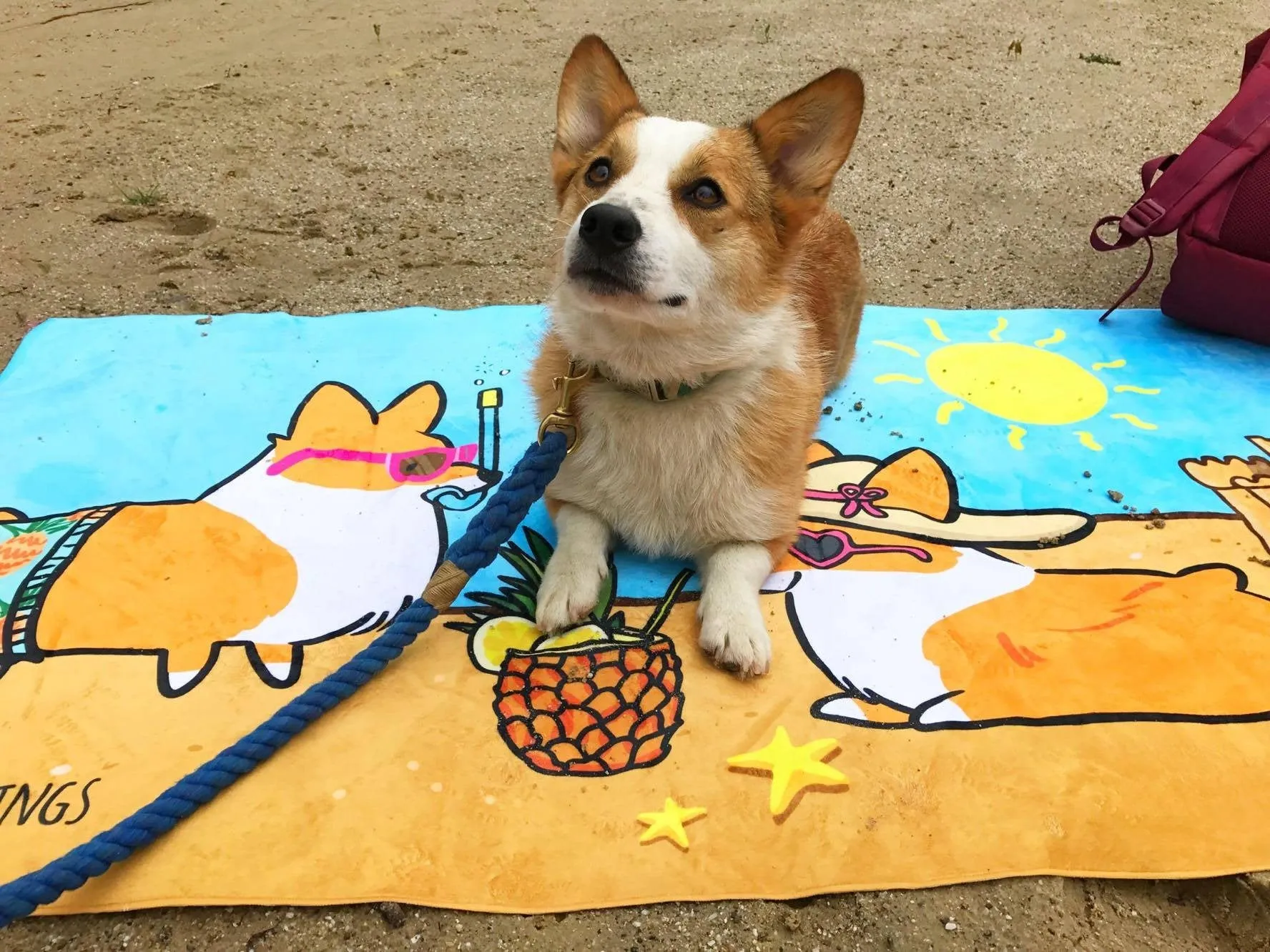 Corgi Beach Party Towel