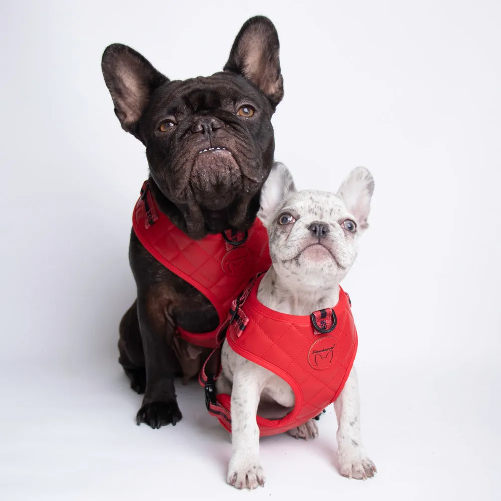 Frenchiestore Neck Adjustable Vegan Leather Health Harness | Red Varsity