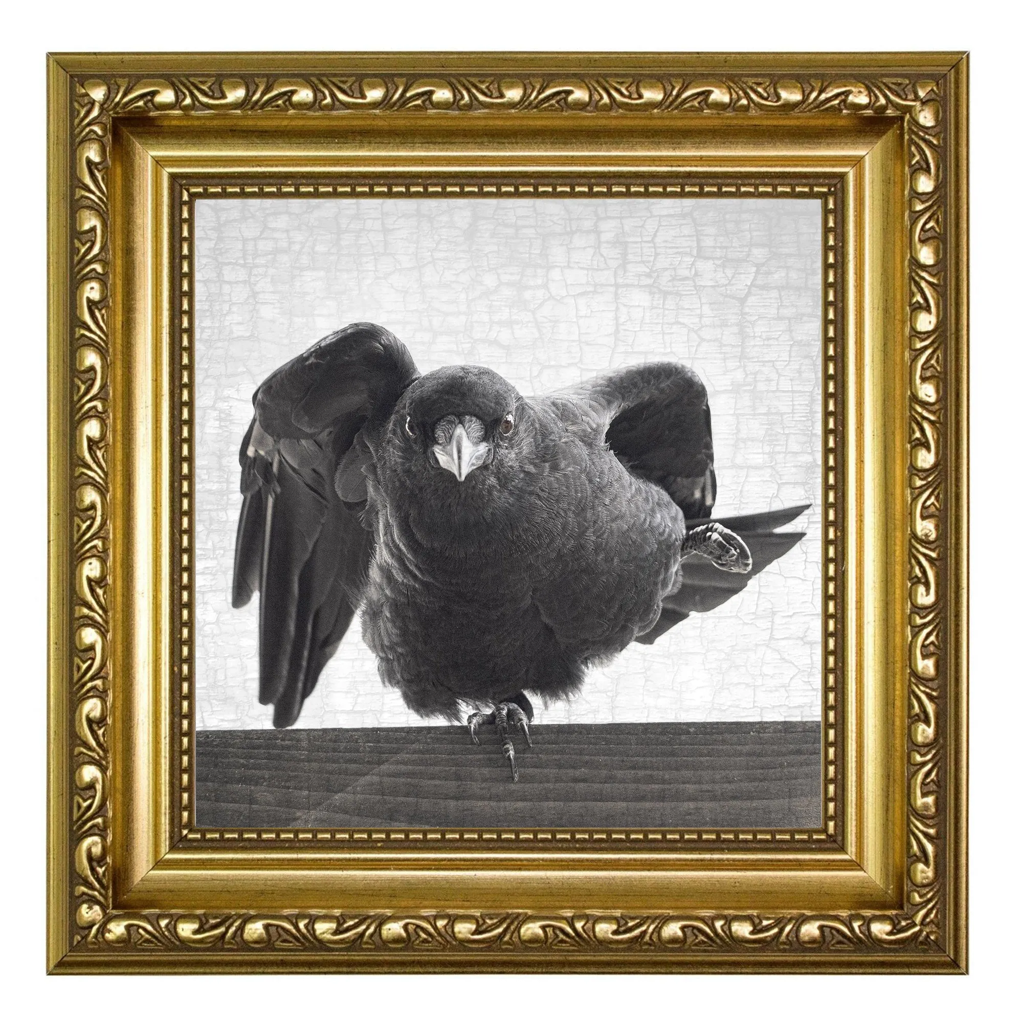 INTERPRETIVE DANCE CROW - Fine Art Print, Crow Portrait Series