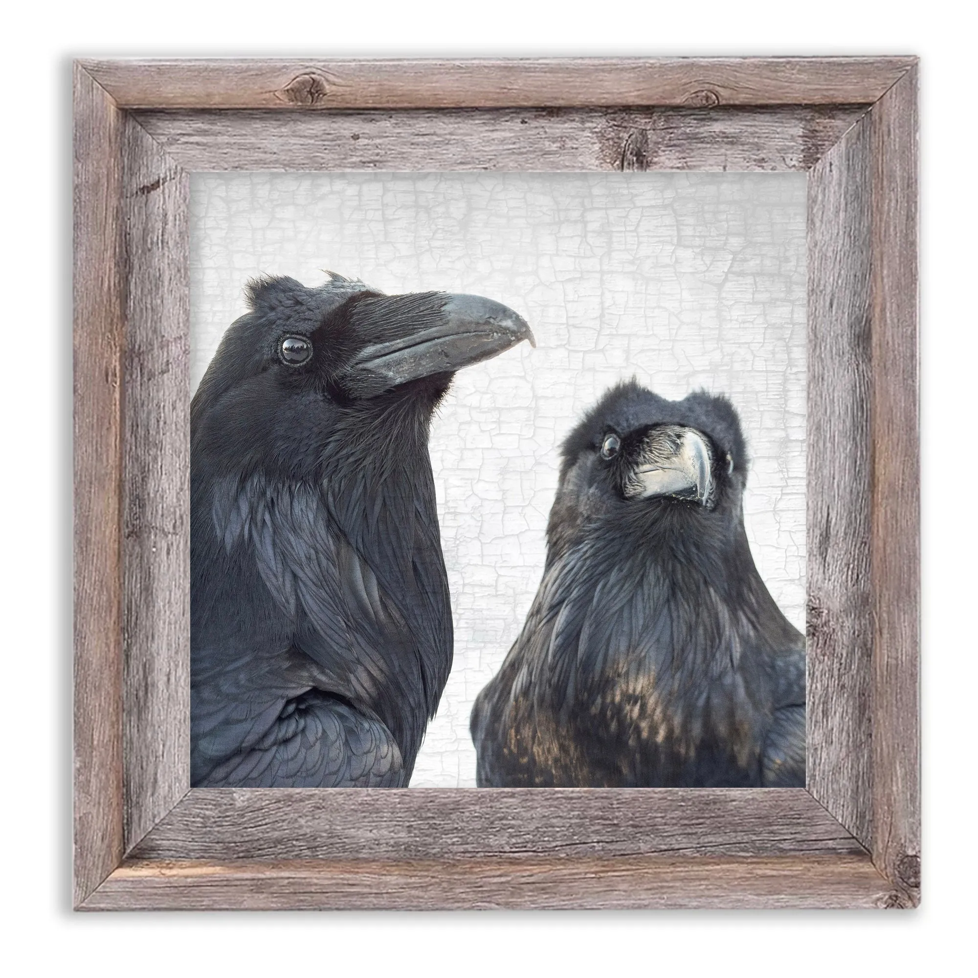 SCENES FROM A MARRIAGE 2 - Fine Art Print, Raven Portrait Series