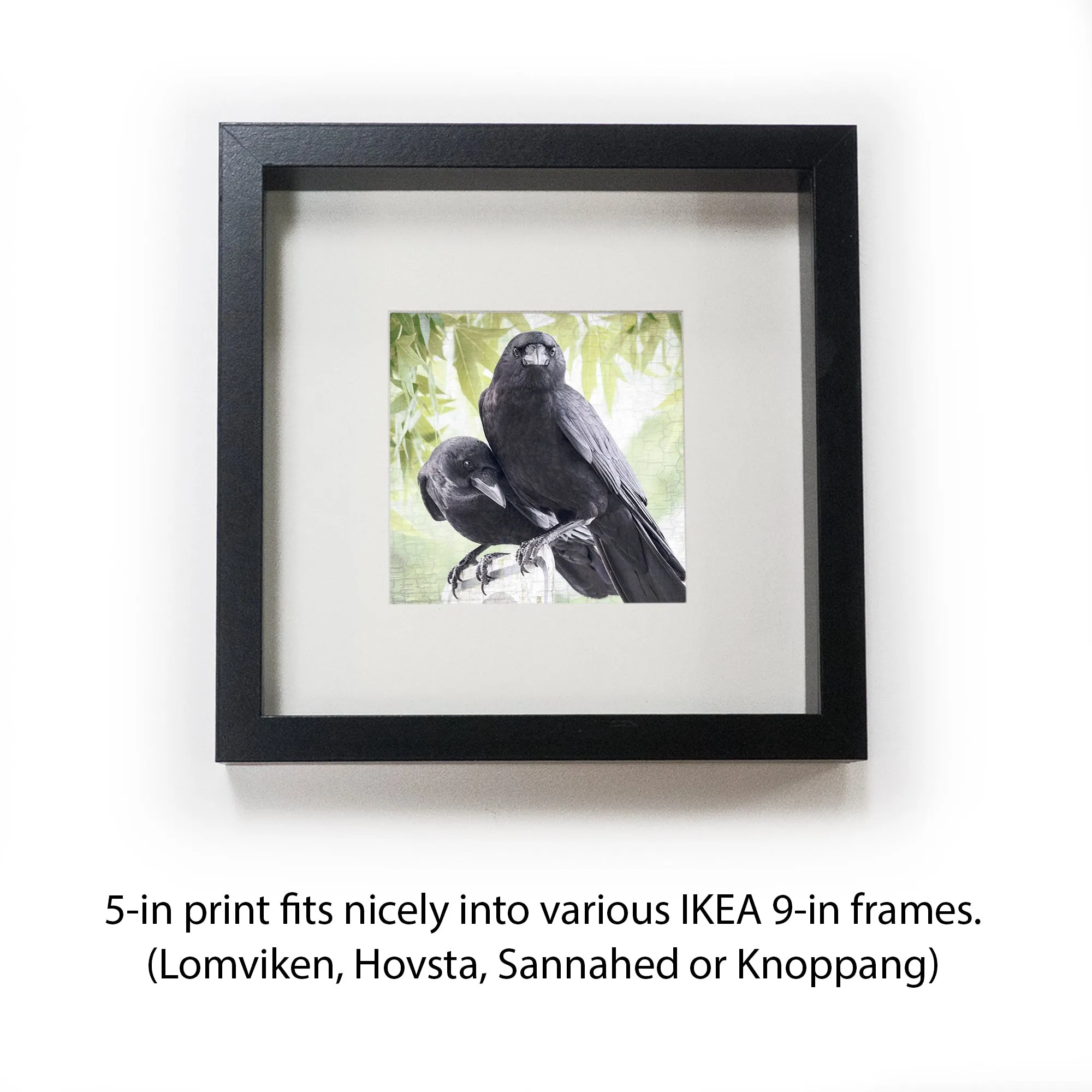 SUMMER LOVE - Fine Art Print, Crow Portrait Series