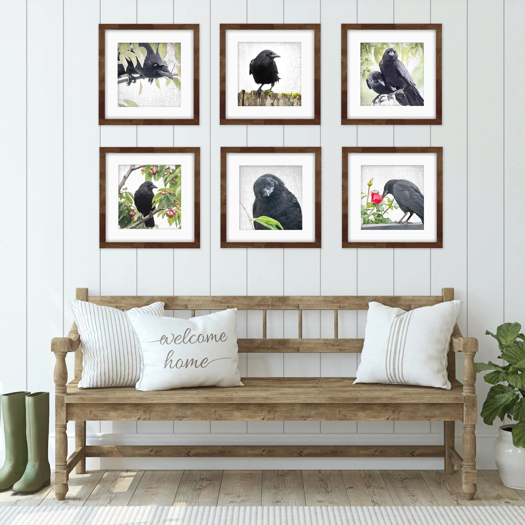 SUMMER LOVE - Fine Art Print, Crow Portrait Series